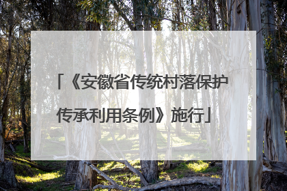 《安徽省传统村落保护传承利用条例》施行