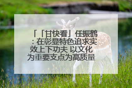 「甘快看」任振鹤：在彰显特色追求实效上下功夫 以文化为重要支点为高质量发展增添动能