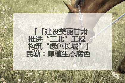 「建设美丽甘肃 推进“三北”工程 构筑“绿色长城”」民勤：厚植生态底色 筑牢绿色屏障