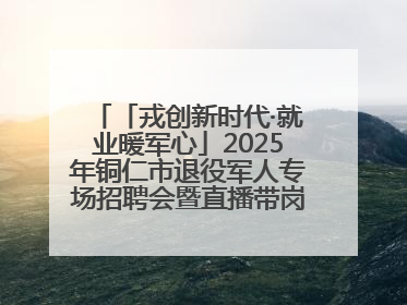 「戎创新时代·就业暖军心」2025年铜仁市退役军人专场招聘会暨直播带岗活动顺利举行