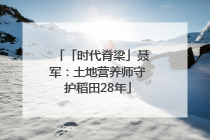 「时代脊梁」聂军：土地营养师守护稻田28年