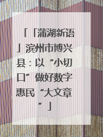 「蒲湖新语」滨州市博兴县：以“小切口”做好数字惠民“大文章”