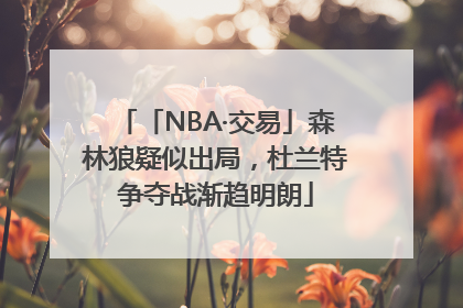 「NBA·交易」森林狼疑似出局，杜兰特争夺战渐趋明朗