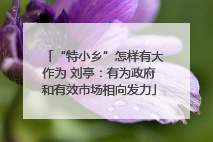 “特小乡”怎样有大作为 刘亭：有为政府和有效市场相向发力