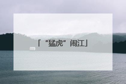 “猛虎”闹江
