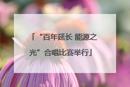 “百年延长 能源之光”合唱比赛举行