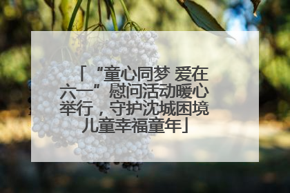 “童心同梦 爱在六一”慰问活动暖心举行，守护沈城困境儿童幸福童年