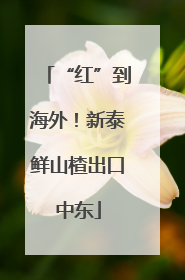 “红”到海外！新泰鲜山楂出口中东