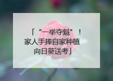 “一举夺魁”！家人手捧自家种植向日葵送考