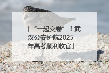 “一起交卷”！武汉公安护航2025年高考顺利收官