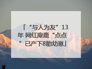 “与人为友”13年 网红麋鹿“点点”已产下8胎幼崽