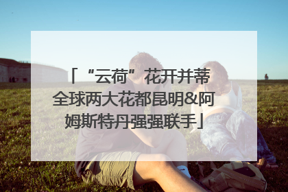 “云荷”花开并蒂 全球两大花都昆明&阿姆斯特丹强强联手