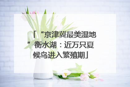 “京津冀最美湿地”衡水湖：近万只夏候鸟进入繁殖期