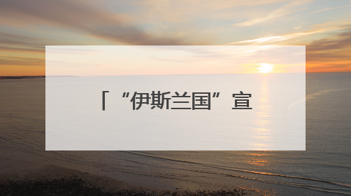 “伊斯兰国”宣称对叙利亚新政权发动首次袭击