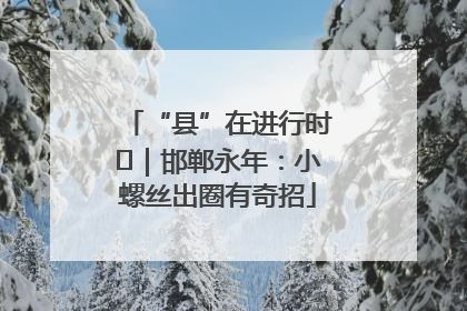 “县”在进行时⑬｜邯郸永年：小螺丝出圈有奇招