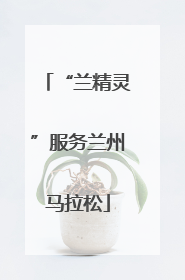 “兰精灵”服务兰州马拉松