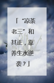 “凉茶老三”和其正，靠养生水逆袭？