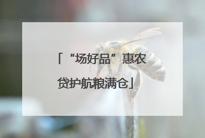 “场好品”惠农贷护航粮满仓