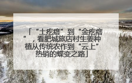 “土疙瘩”到“金疙瘩”，看肥城旅店村生姜种植从传统农作到“云上”热销的蝶变之路