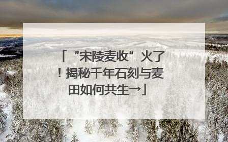 “宋陵麦收”火了！揭秘千年石刻与麦田如何共生→