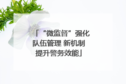 “微监督”强化队伍管理 新机制提升警务效能