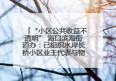 “小区公共收益不透明” 海口滨海街道办：已组织水岸长桥小区业主代表与物业进行座谈