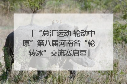 “总汇运动 轮动中原”第八届河南省“轮转冰”交流赛启幕