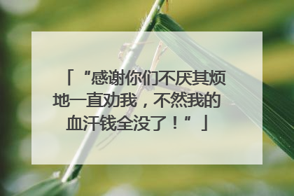 “感谢你们不厌其烦地一直劝我，不然我的血汗钱全没了！”