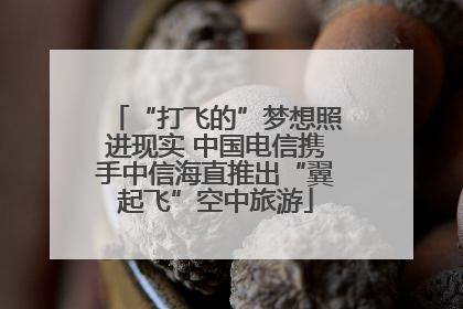 “打飞的”梦想照进现实 中国电信携手中信海直推出“翼起飞”空中旅游