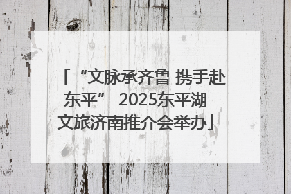 “文脉承齐鲁 携手赴东平” 2025东平湖文旅济南推介会举办
