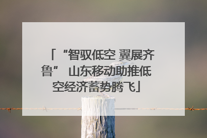 “智驭低空 翼展齐鲁” 山东移动助推低空经济蓄势腾飞