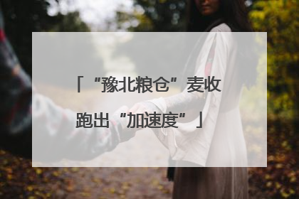 “豫北粮仓”麦收跑出“加速度”