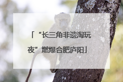 “长三角非遗淘玩夜”燃爆合肥庐阳