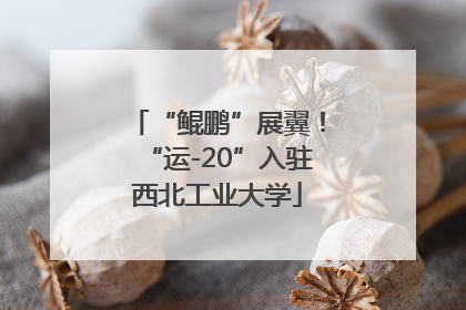 “鲲鹏”展翼！“运-20”入驻西北工业大学