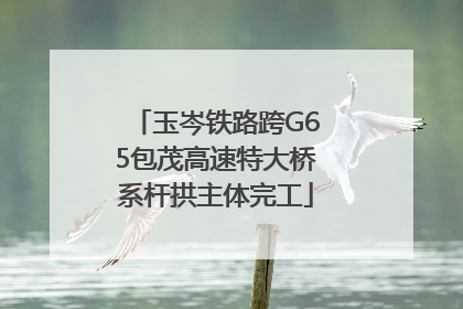 玉岑铁路跨G65包茂高速特大桥系杆拱主体完工