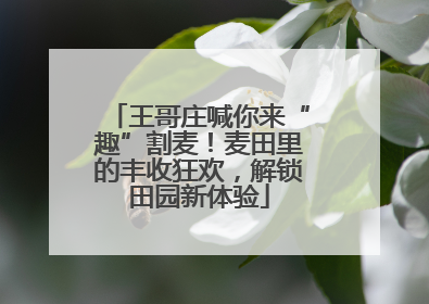 王哥庄喊你来“趣”割麦！麦田里的丰收狂欢，解锁田园新体验