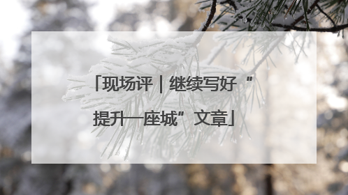 现场评｜继续写好“提升一座城”文章