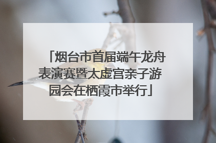 烟台市首届端午龙舟表演赛暨太虚宫亲子游园会在栖霞市举行