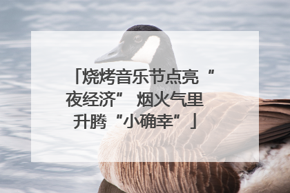烧烤音乐节点亮“夜经济” 烟火气里升腾“小确幸”