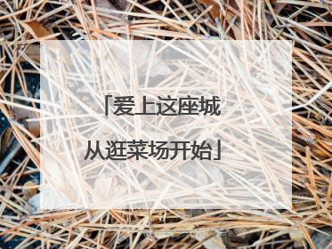 爱上这座城 从逛菜场开始