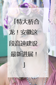 特大桥合龙！安徽这段高速建设最新进展！
