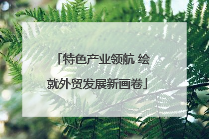特色产业领航 绘就外贸发展新画卷