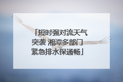 短时强对流天气突袭 湘潭多部门紧急排水保通畅