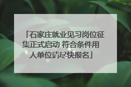 石家庄就业见习岗位征集正式启动 符合条件用人单位请尽快报名
