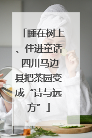 睡在树上、住进童话 四川马边县把茶园变成“诗与远方”