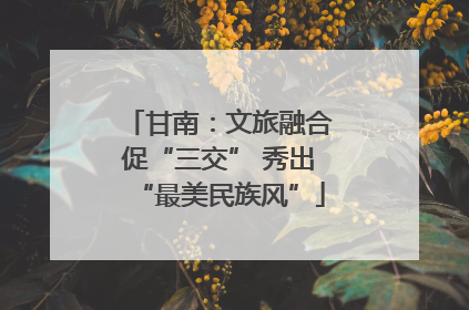 甘南：文旅融合促“三交” 秀出“最美民族风”
