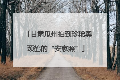甘肃瓜州拍到珍稀黑颈鹤的“安家照”