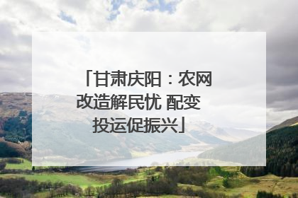 甘肃庆阳：农网改造解民忧 配变投运促振兴