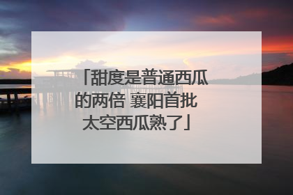 甜度是普通西瓜的两倍 襄阳首批太空西瓜熟了