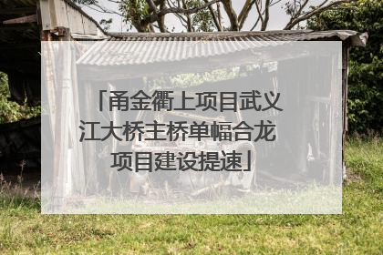 甬金衢上项目武义江大桥主桥单幅合龙 项目建设提速